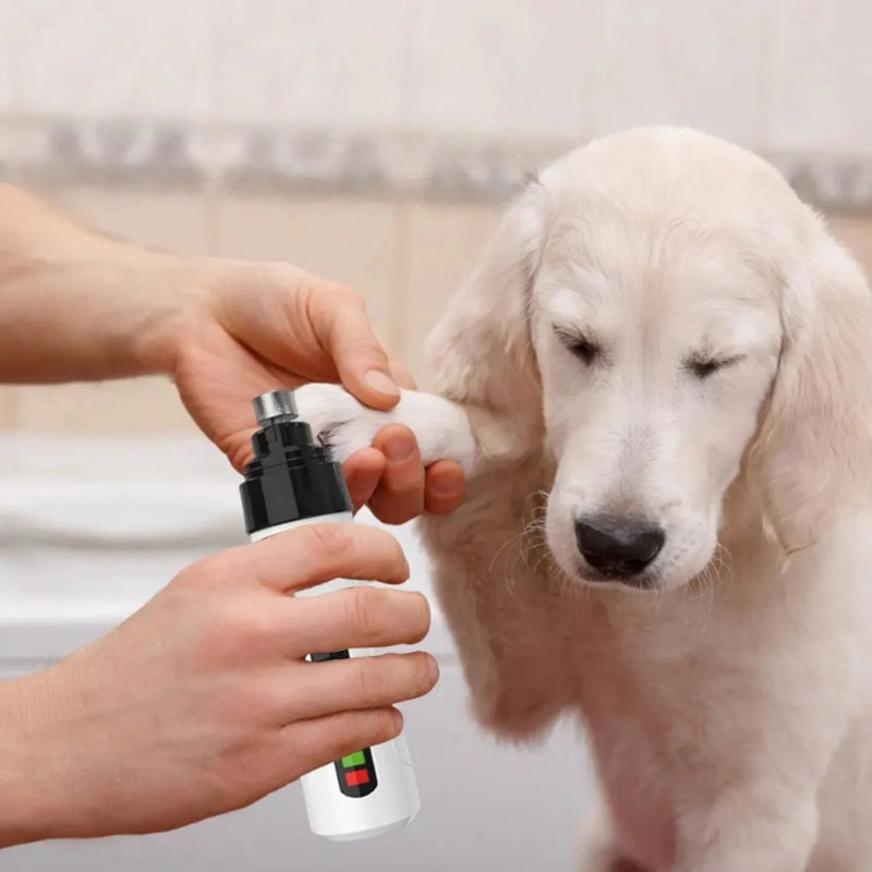 Aparador-de-Unhas-Silencioso-para-Caes-e-Gatos-ABS-sendo-demonstrado-em-um-cachorro-branco