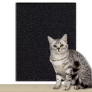 Carpete Protetor de Sofás e Móveis Anti arranhões